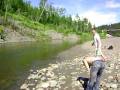 videos de Throwing rocks at a stick