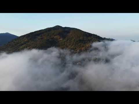 Tinh Hoa NIKAYA - Pháp Hành Tâm Hiền Từ Hỷ Xả