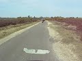 Big Trail Bike Ride, New Forest