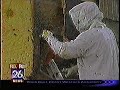Over 200,000 bees invade a townhome in Houston