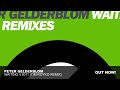 Peter Gelderblom - Waiting 4 2011 (Tim Royko Remix)