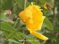 berat-gecesi-nedir-3-5-rahmetforum.html