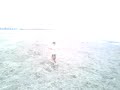 backflip in seaweed