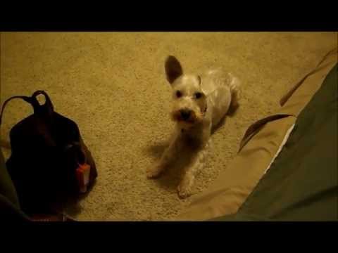 how to react to being ignored