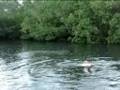 videos de Ubayon Rainforest Splash