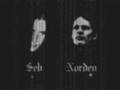 Mortem pardo humano - Sexually Transmitted Music