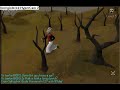 Fist of Guthix DDs+ancients