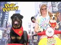 Esmond Family Video 2008 Esmond Family Video 2008