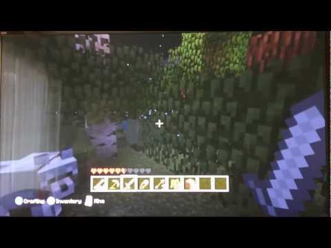 how to tame a wolf in minecraft xbox