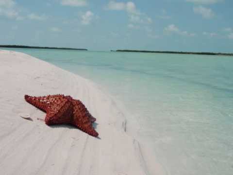 0 Turismo en Cayo Largo del Sur