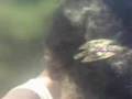 clip video Diana Krall I Remember You