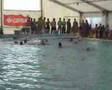 CN Caballa vs CN Marbella (FEM)