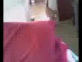 Petamus the bracelet fetching cat.....
