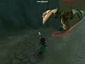 Dragon in Malfurion Dragon in Malfurion