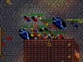 Zanera war 3 colage