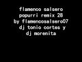 flamenco salsero popurri remix 28 by flamencosalsero07