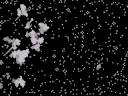 processing Game of Life stacked and normal processing Game of Life stacked and normal