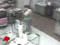 Woman Spied Stuffing Puppy in Purse