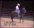 SUPREMO DE LA LUISA (PASO FINO STALLION)