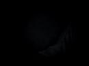 Twilight to Dark