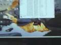 8800 Nvidia Vista Crash