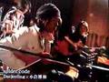 Spider Code - Darjeeling　小倉博和