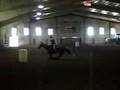 videos de Topper at LD Ranch