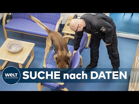 Fall Lüdge: Datenspeicher-Spürhunde können USB ...