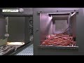 Obejrzyj materiał wideo