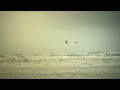 lenten kitesurf kiteloop crash