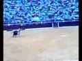 videos de Las tardes del zeta en los toros el fandi pepin liria 2