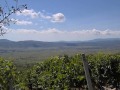 Srbija Србија