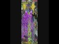 Esp Galuda II ~ Stage 5 (~ Part 2/2) Esp Galuda II ~ Stage 5 (~ Part 2/2)
