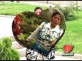 http://www.yauyos.tk Galves Martinez  de Porococha