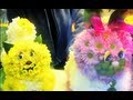 Another Day with Olga Kay - Flower ORGY