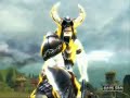 ギルドウォーズ動画