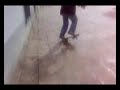 skate abrahan,alfacar