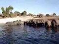 Namibia Boat Safari Chobe Savanna