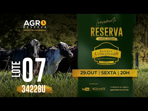 LOTE 07 - LAURINDA ENLÃŠVO FIV 3422BU