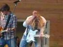 Bucky in Covington, VA ~ Another Brick In The Wall