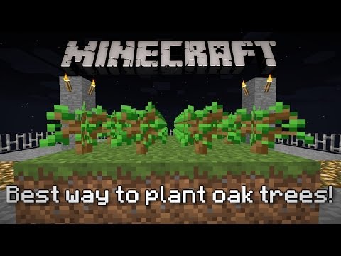how to replant trees in minecraft