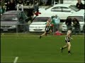 Narre V Doves Gordos Mark