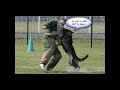 صوركلاب اليمن يستورد كلاب حراسة بـ 5 ملايين دولار لمونديال 'خليجي 20