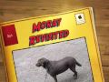 Moray Revisited - Day 6