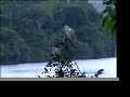 in azione a salerno: salva le foreste del congo