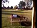 Jumping over a picnic table lengthwise