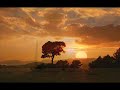Amazing HD-Nature Pictures