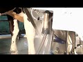 VMS robotic milking