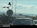 chafiras-04 mpeg4 001
