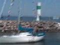 Sailers back in Sweden